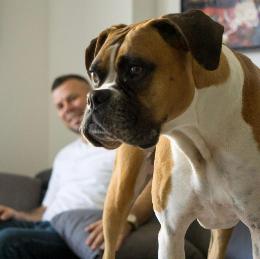 Photoshoot for social media